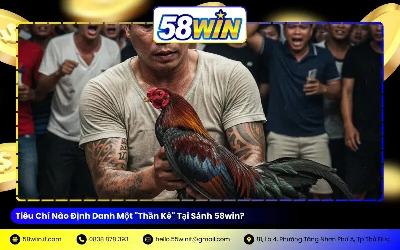 Tiêu Chí Nào Định Danh Một "Thần Kê" Tại Sảnh 58win?